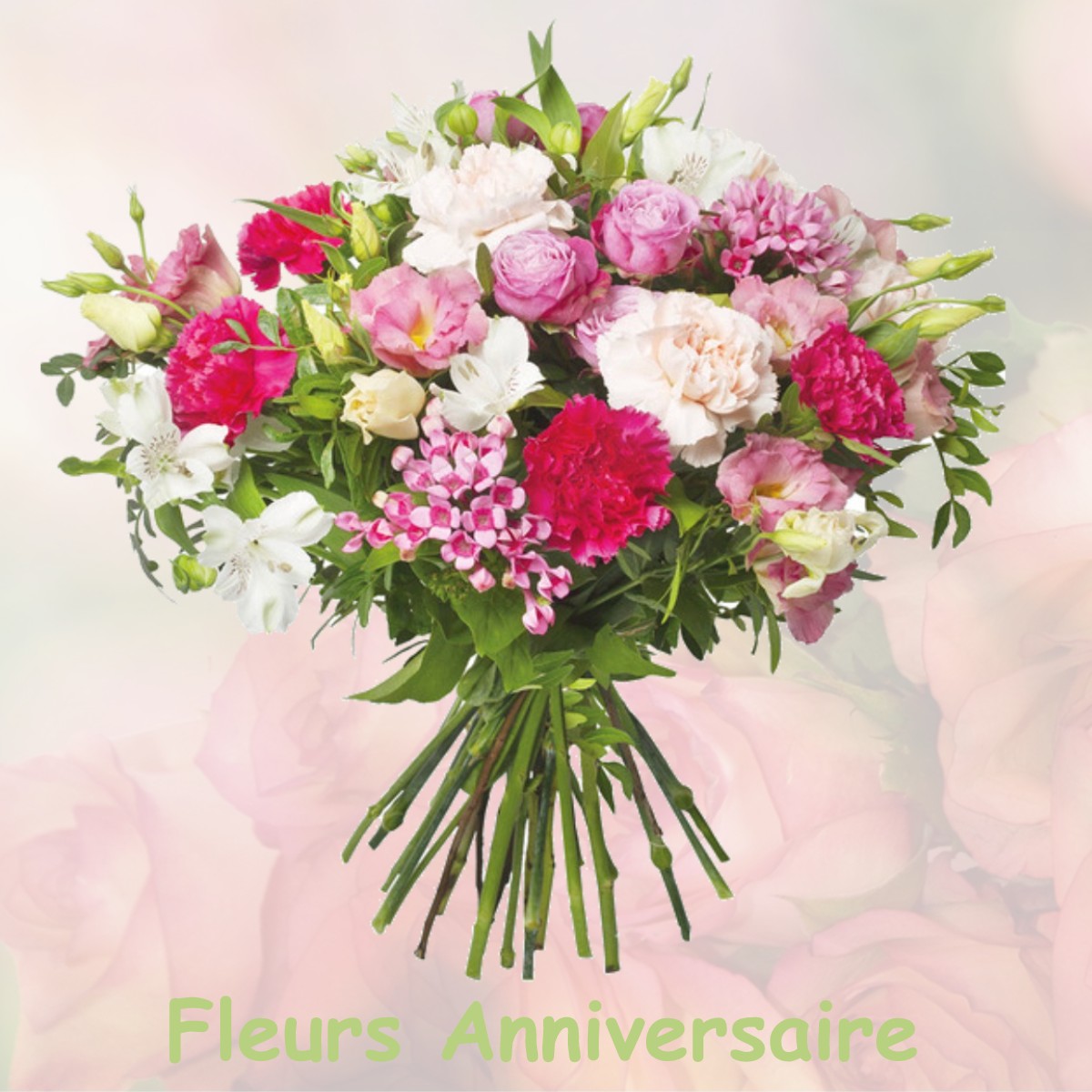 fleurs anniversaire FRIZON
